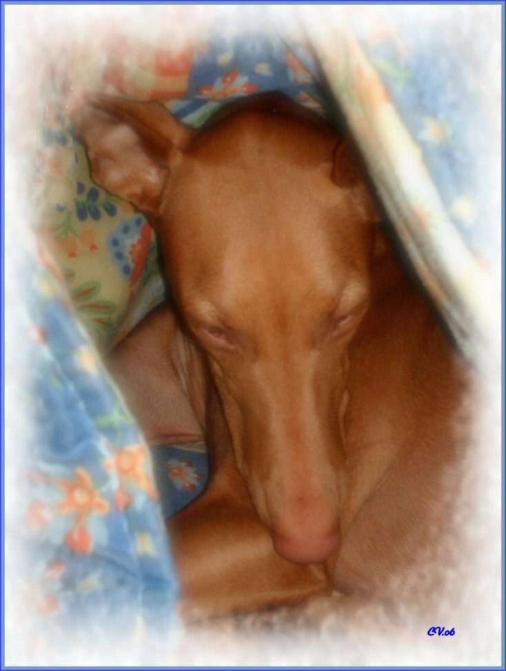 Sleep of winters...