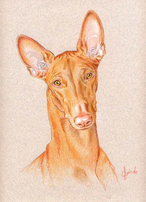 Pastel of PHOEBE by the famous artist GLORIA
