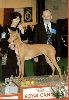 Me, SATI and the Judge for the last BIS Veteran for 2005 (International dog