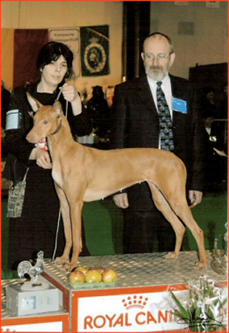 Me, SATI and the Judge for the last BIS Veteran for 2005 (International dog