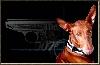 My "007" to me!!!