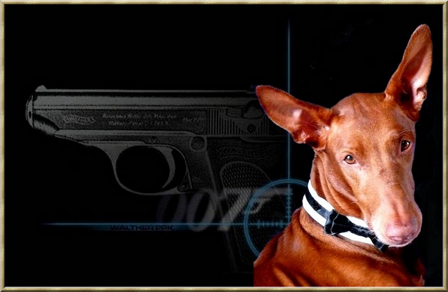 My "007" to me!!!