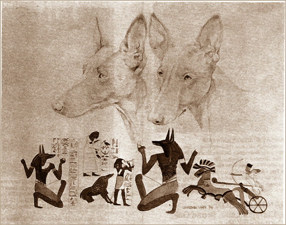 STUDY OF HEAD, 1974 (UK)