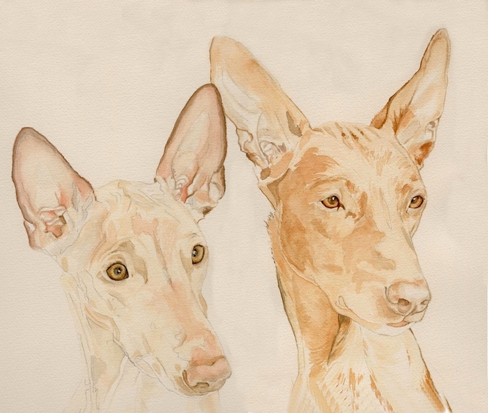 A study of miss Phoebe and Kara...