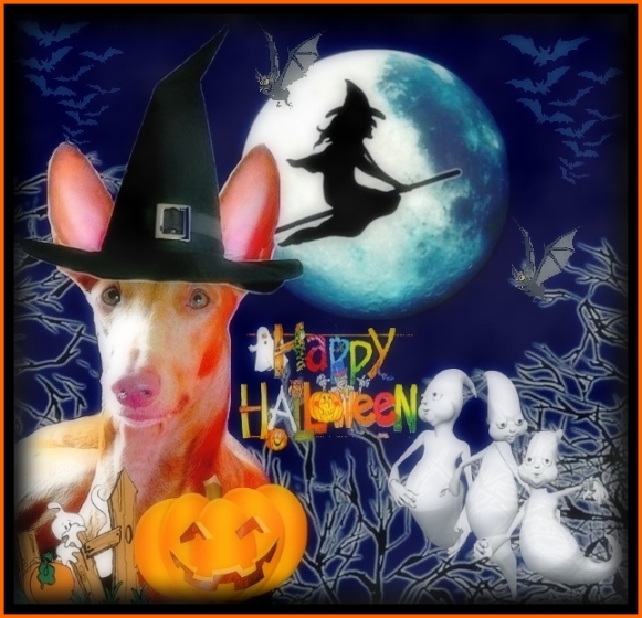 Happy Halloween!!!!
