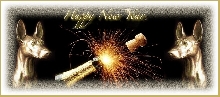 HAPPY 2009 to ALL !!!!!!!!!