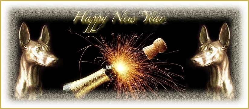 HAPPY 2009 to ALL !!!!!!!!!