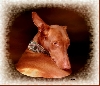 Photo of week-end 1......KARA