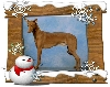 Better Wishes with All !!!!