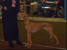 PHOEBE and its first title