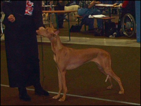 PHOEBE and its first title
