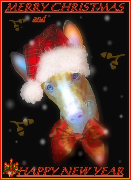 Happy Holidays to All !!!