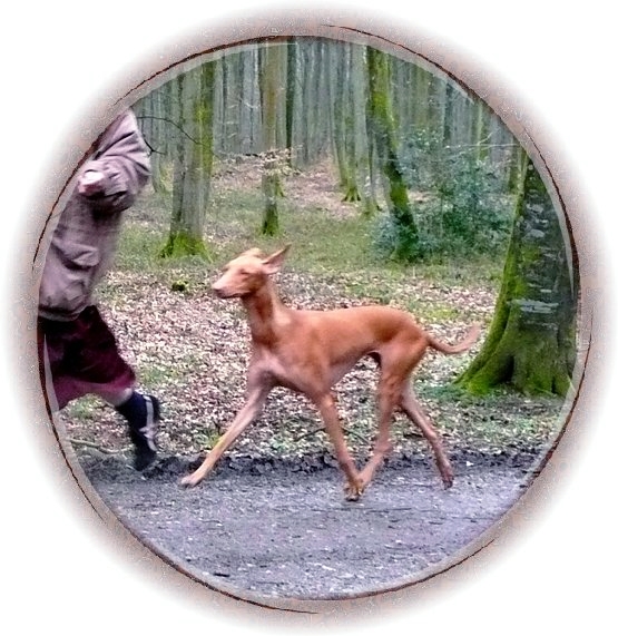 In movement...