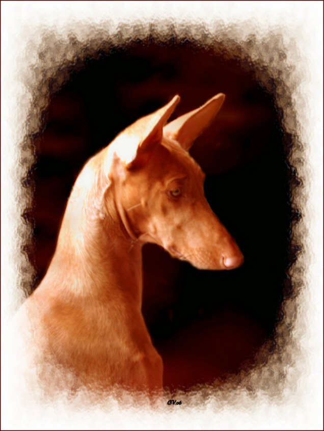 Photo of week-end 2.....Phoebe