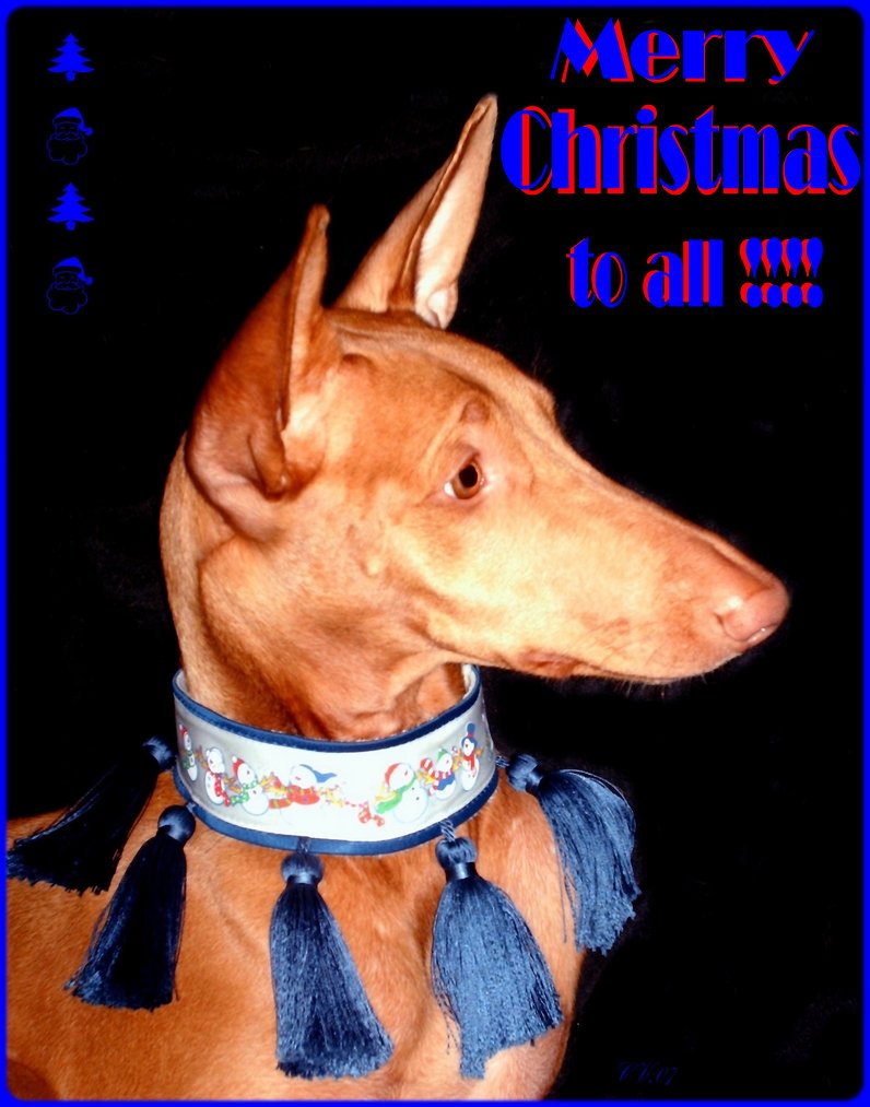 Merry Christmas