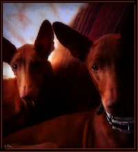 My 2 Angels...