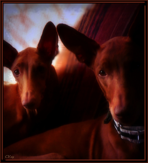 My 2 Angels...