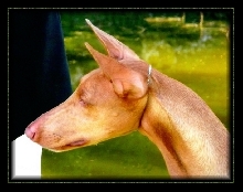 My little Star...Miss Phoebe