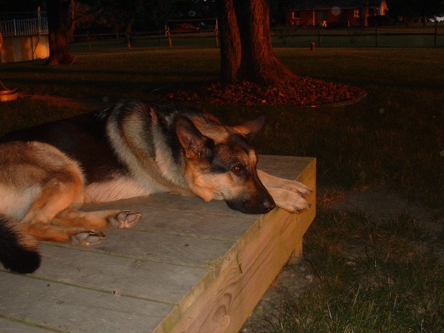Annie sunset
