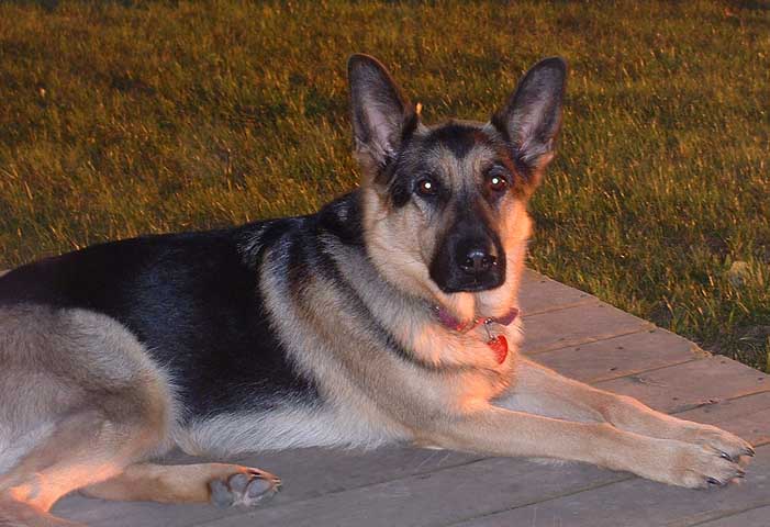 Annie