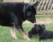Toby and kids