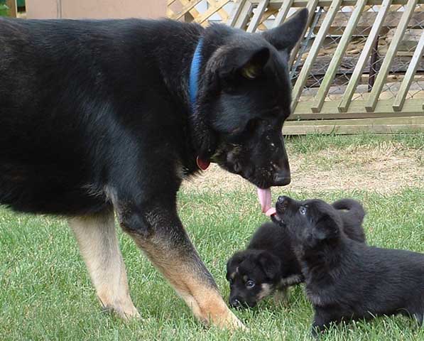 Toby and kids