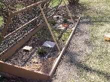 Outside Pen