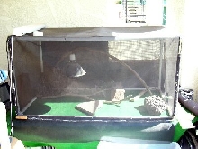 Outside Cage