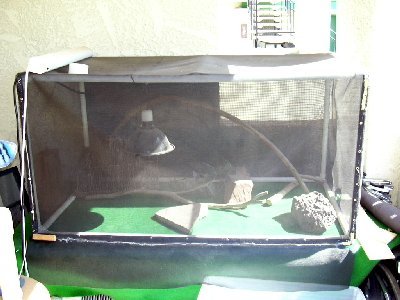 Outside Cage