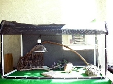 Outside Cage