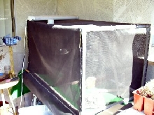 Outside Cage