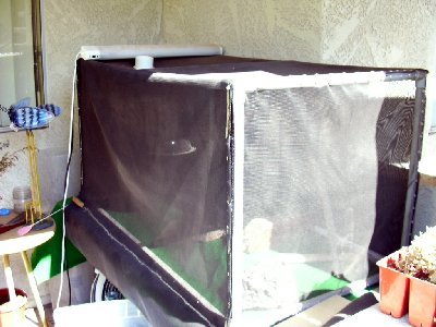 Outside Cage