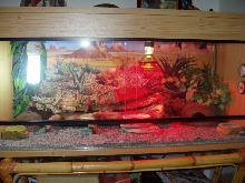 Gizmo's home!
