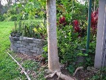 front entrance to Turtle village