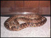 female1