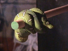 ETB