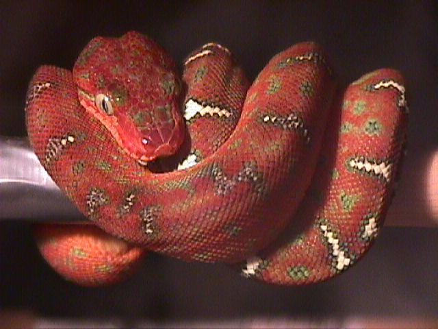 ETB