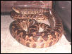 male