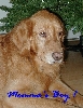 Cisco 04
