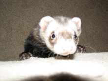 Hi Mom!