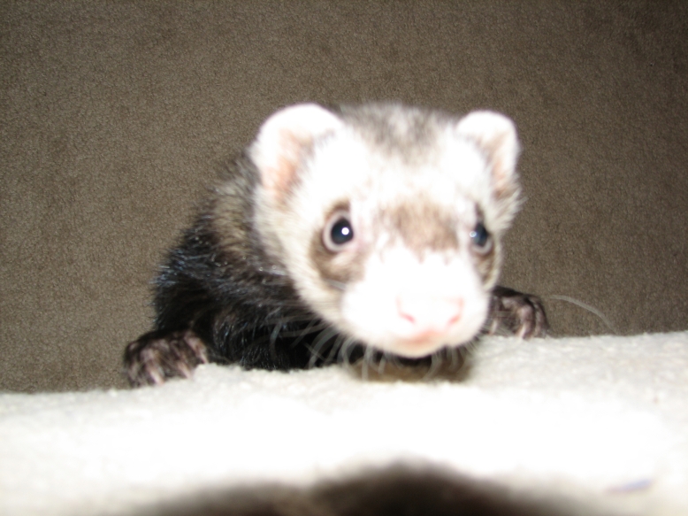 Hi Mom!