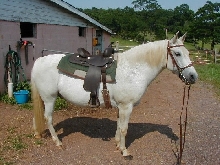 Lance aka: Cognac in 2004
