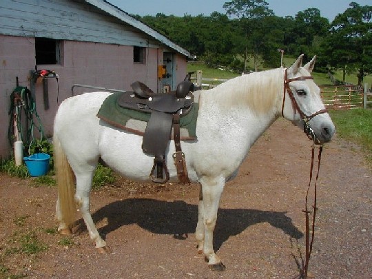 Lance aka: Cognac in 2004
