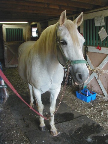 Lance aka: Cognac in 2004
