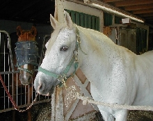 Lance aka: Cognac in 2004