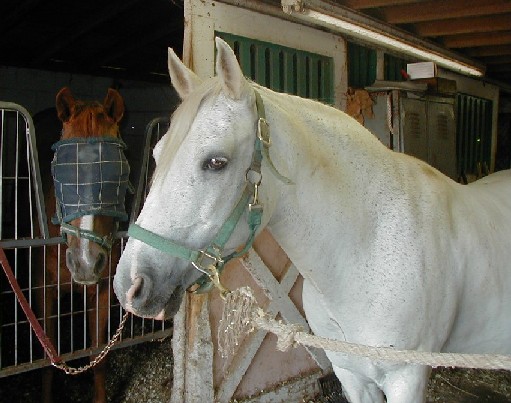 Lance aka: Cognac in 2004