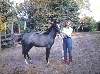 Cognac  in 1988 as yearling