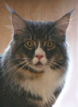 Ageddor