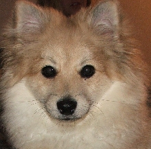 Riley