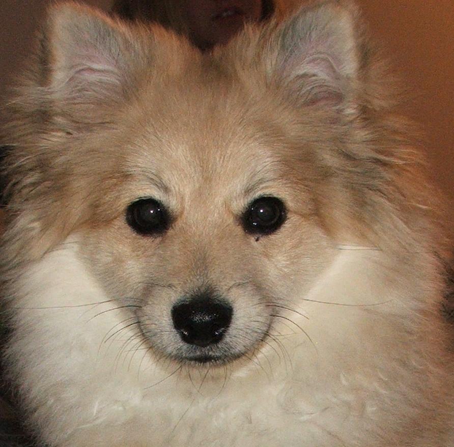 Riley